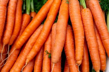 many carrots are piled up together on the table of the market
