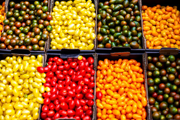 lots of different color tomatoes in boxes near each other outside