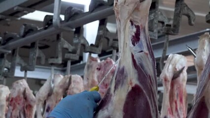 Close up of a worker cutting parts from hooked meat in a slaughterhouse.