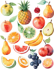 Vector of watercolor fruits