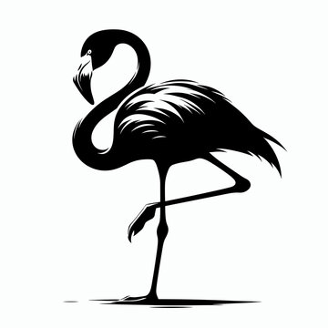 recommend clip art: Black silhouette of a flamingo standing on one leg on a white background, black and white, vector style