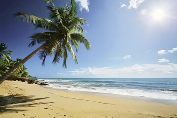 Beautiful Beach with Palm Trees and Clear Blue Sky
