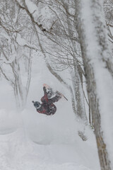 A girl on a snowboard does a backflip off a huge cap of snow that lies near a tree in a Japanese forest in Hokkaido