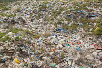 Obraz premium Texture