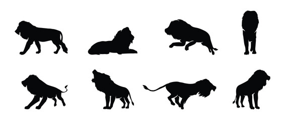 Set of Lion silhouette isolated on white background.