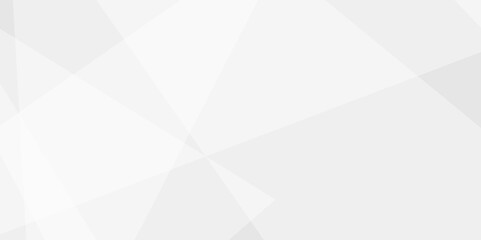 Abstract background with white and gray and geometric style with simple lines and corners, polygons as background geometric style with simple lines and corners, polygons as background paper texture	
