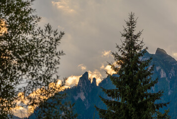Majestic evergreen tree on a lush ridge, with majestic mountains in the distance