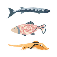 Beautiful tropical sea fish. Fish template for logo, print, notepad, poster, banner. Vector illustration in modern flat style.