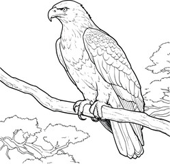 Eagle On A Branch Coloring Page Drawing For Kids