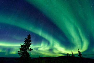 Awe-inspiring aurora borealis illuminating a night sky in Dawson City, Yukon Territory, Canada