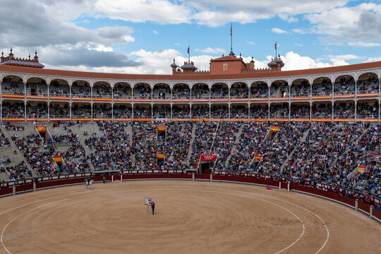 Afternoon of work in the Las Ventas bullring in Madrid during the San Isidro fair