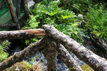 Dunvegan Castle and grounds, Isle of Skye