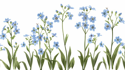 Forget-me-nots myosotis blossomed spring wild flower