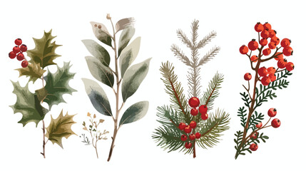 Four of beautiful winter decorative plants isolated on white background
