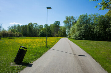Paved path for bicycles and pedestrians on a bright green meadow with yellow dandelion flowers, going into the distance behind wall of trees, Street lamp and tilted black rubbish bin, Västerås, Sweden