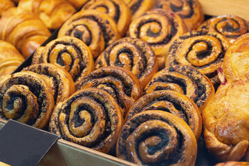 Delicious and fresh cinnamon rollls with poppy seeds on the bakery counter.