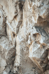 A close-up of a piece of rough-hewn stone, showcasing its natural texture and rugged beauty.