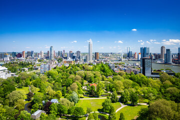 Rotterdam Cityscape