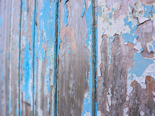 background of old wooden blue planks whose paint is faded and peeling