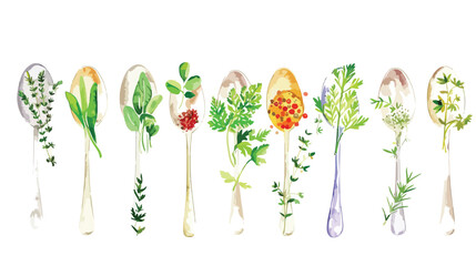 Spoons with different herbs on white background vector