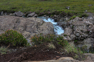 Fairy pools, Isle of Skye