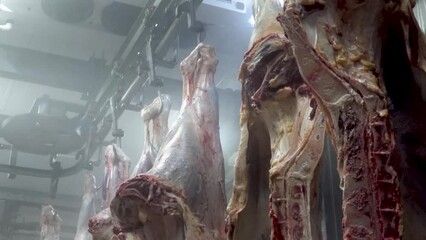 Cattle carcasses hung with hooks to rails, moving by conveyor automation in a slaughterhouse.