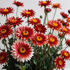 bouquet of flowers