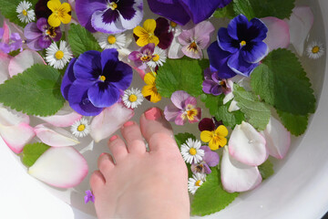 Obraz na płótnie Canvas foot bath in bowl with spring flowers, spa care, top view, beautiful women feet