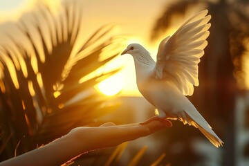 A white dove with wings spread perches on a hand against a glowing sunset background, symbolizing peace and freedom.