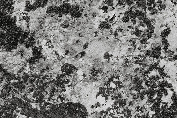 Grey Stone Texture or Background in monochrome. Black and White.
