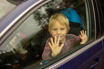 Child, toddler boy with maltese dog, staying in the car behind the windon on a rainy day