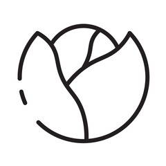 Lettuce Vegetables Veggie Line Icon