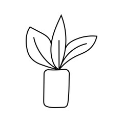 indoor plant doodle. Vector isolated on white background