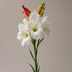 bouquet of flowers