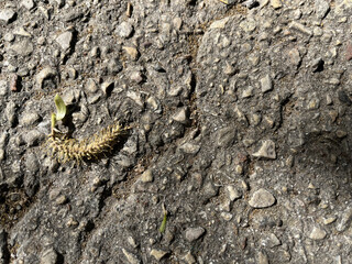 Old asphalt