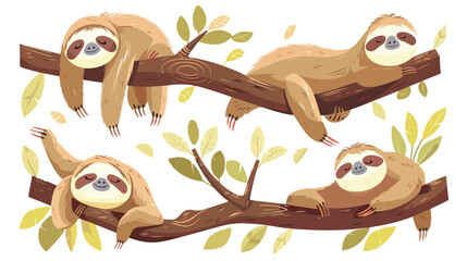 Four of funny sloths in different postures. Lazy