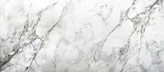 A close up of a white marble texture with black veins