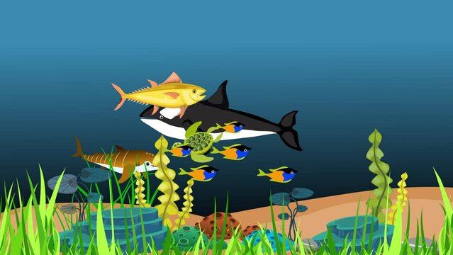 Sea life underwater animation sharks fishes cartoon scene