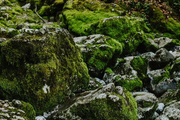 Amazing stones with green moss in National Park Prokletije, Montenegro. Nature background.