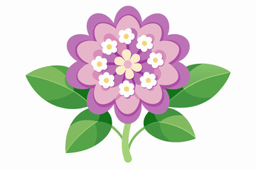 A beautiful candytuft flower vector artwork illustration