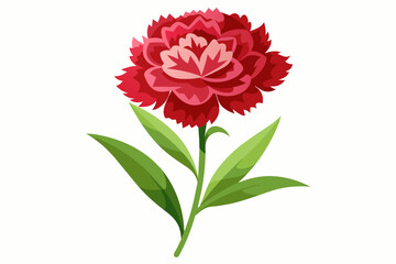 Fototapeta premium A beautiful dianthus flower vector artwork illustration 