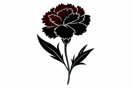 A dianthus flower silhouette black vector artwork illustration