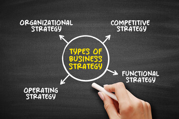 Types of Business Strategy mind map text concept for presentations and reports
