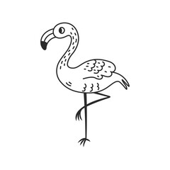 Obraz premium Flamingo line doodle vector illustration. Hand drawn tropical exotic bird standing on one leg sketch. Isolated on white background