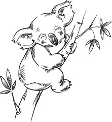 Koala's Tranquil Abode: Hand-Drawn Australian Wildlife line drawing 