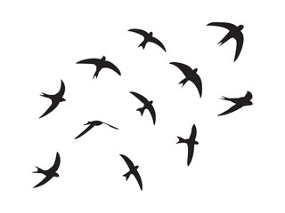Collection of flying bird silhouettes. group of flying birds silhouette, A flock of flying birds. isolated bird flying. tattoo design.