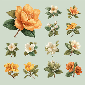 Set of Vintage Handrawn Flower