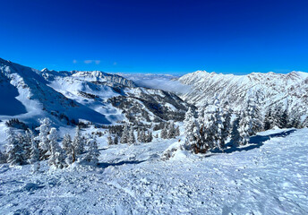 Scenic winter forest hills with mountains in the clouds at ski resort