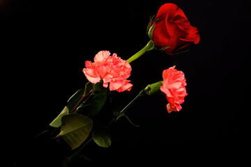 Obraz premium Outdoor Floral Arrangement