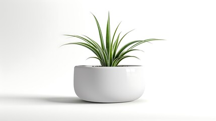 A modern planter pot with a sleek design, its shadow creating a subtle contrast on the solid white background